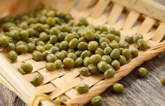 綠豆可以每天吃嗎