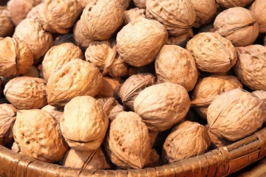 核桃健康益處
