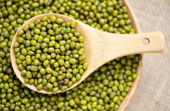 綠豆食用禁忌