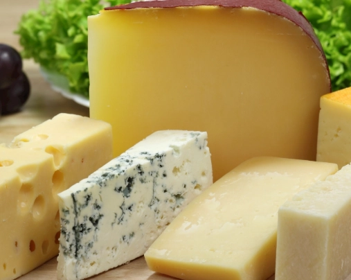 奶酪 是什么 奶酪 是什么