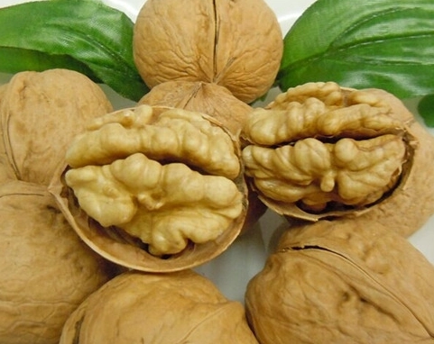 生核桃食用安全