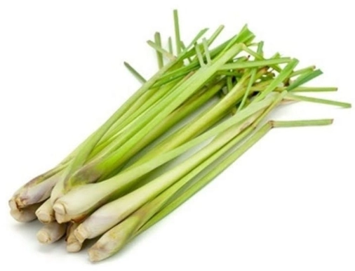 南薑購買地點 南薑購買地點