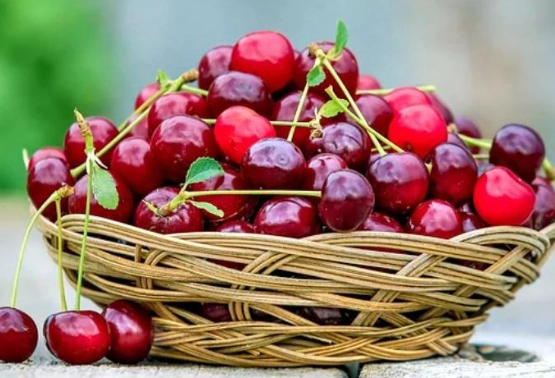 糖尿病飲食櫻桃 糖尿病飲食櫻桃