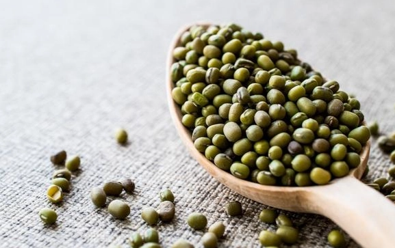 綠豆可以每天吃嗎