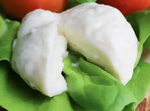 低熱量起司 低熱量起司