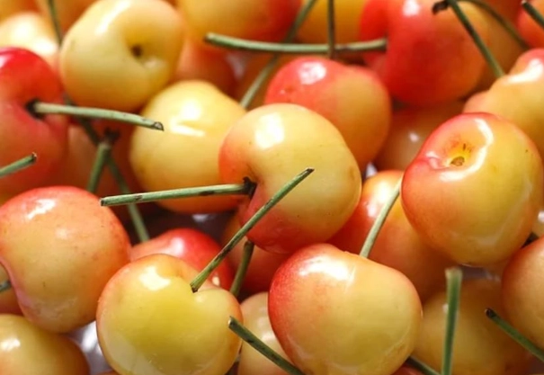 櫻桃糖尿病 櫻桃糖尿病