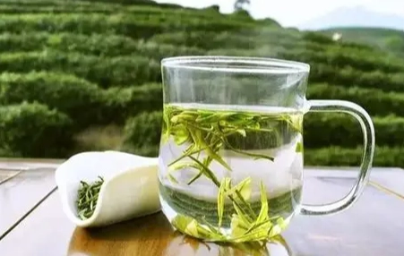 綠茶天天喝