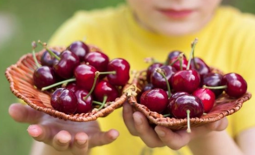 櫻桃熱量 櫻桃熱量