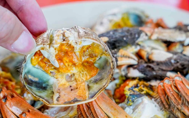 高雄海鮮餐廳推薦