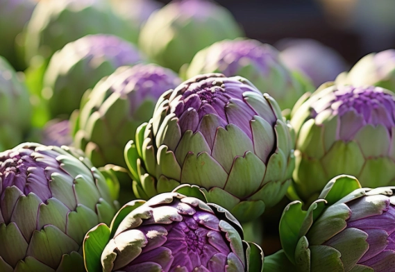 朝鮮薊膠囊推薦 朝鮮薊膠囊推薦