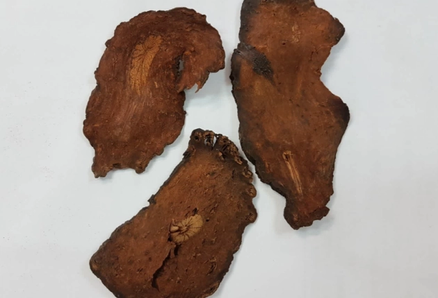 何首烏功效禁忌