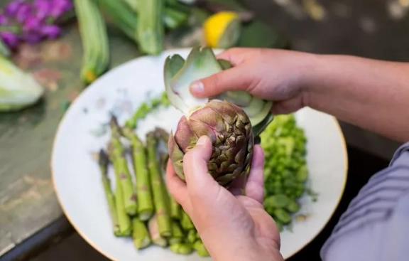 洋薊禁忌人群 洋薊禁忌人群