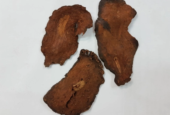 何首烏功效作用 何首烏功效作用