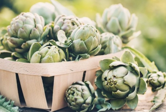 朝鮮薊茶副作用 朝鮮薊茶副作用