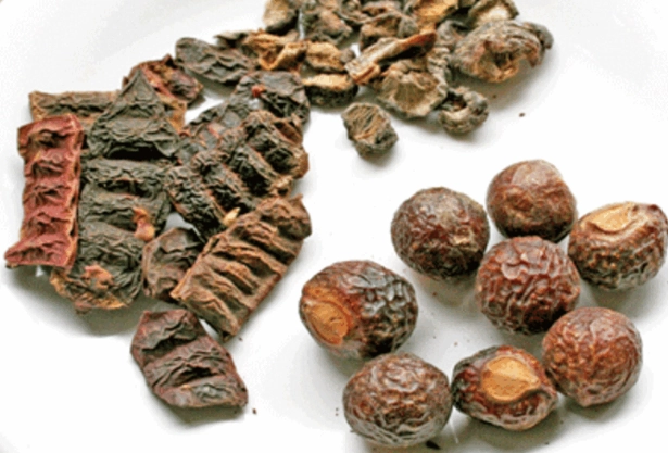 首烏功效 首烏功效