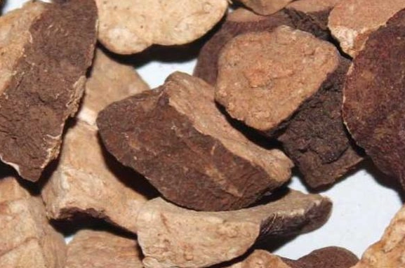 何首烏禁忌 何首烏禁忌