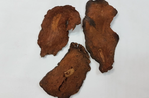 何首烏用法 何首烏用法