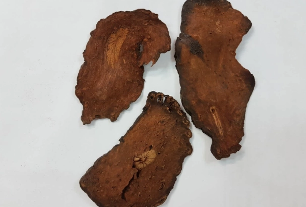 何首烏副作用 何首烏副作用