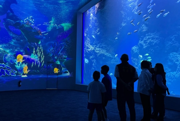 海生館門票 海生館門票