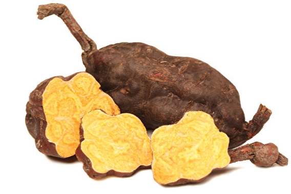 何首烏使用方法 何首烏使用方法