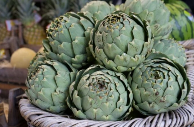 洋薊膠囊怎麼吃