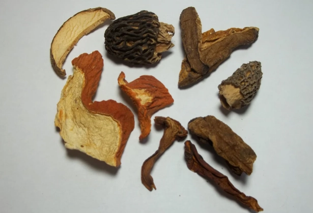 何首烏用法 何首烏用法