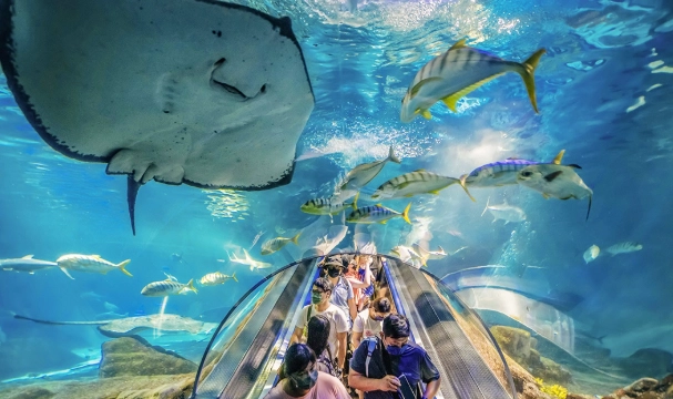 海生館門票 海生館門票