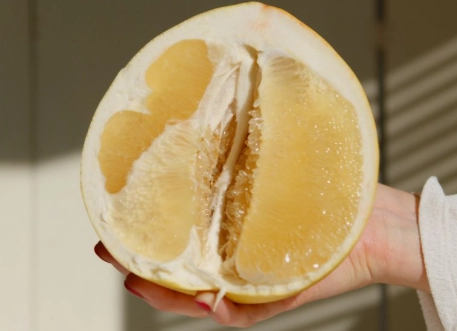 柚子每日建議量