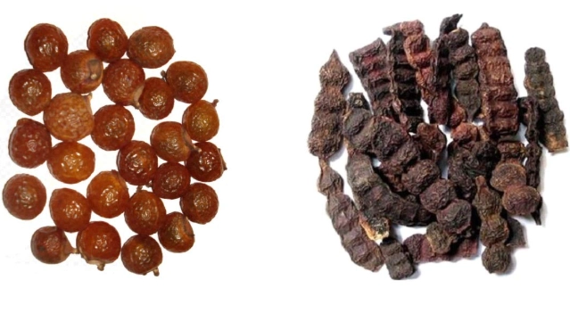 何首烏用法 何首烏用法