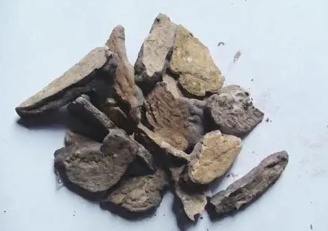 制何首烏使用方法 制何首烏使用方法