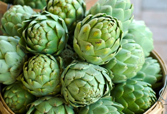 朝鮮薊食用季節 朝鮮薊食用季節