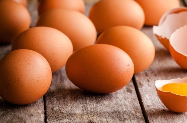 一天吃四顆蛋可以嗎