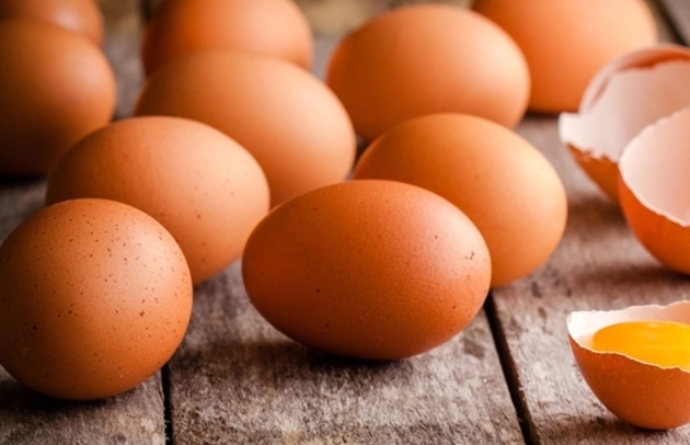 一天吃四顆蛋
