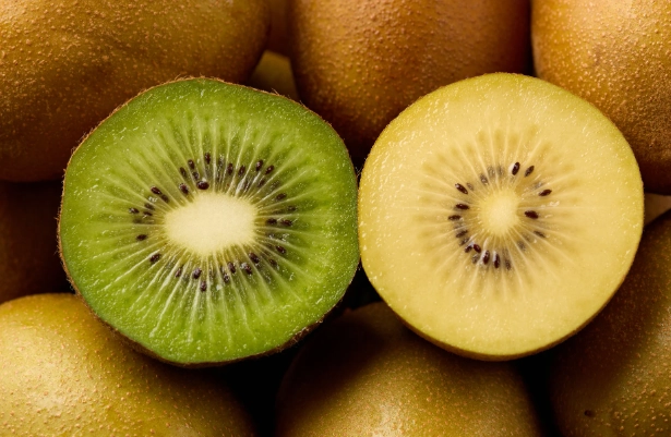 黃金奇異果食用禁忌