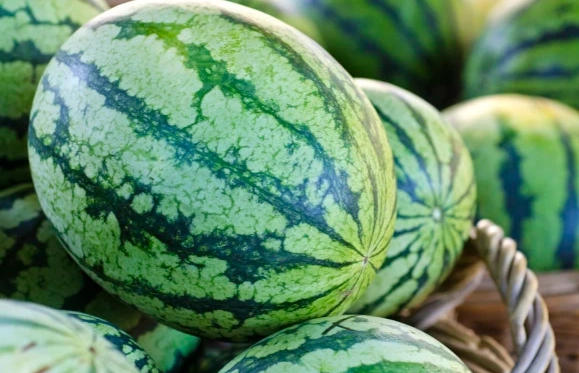 西瓜禁忌