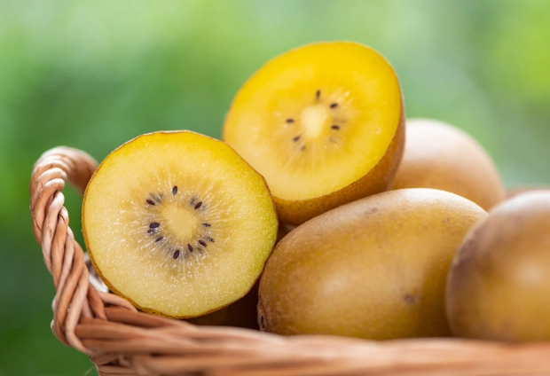 黃金奇異果副作用