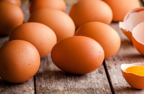 高齡者吃蛋注意事項