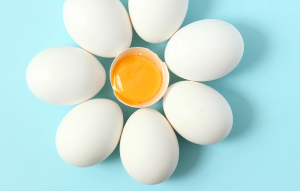 雞蛋攝取量建議
