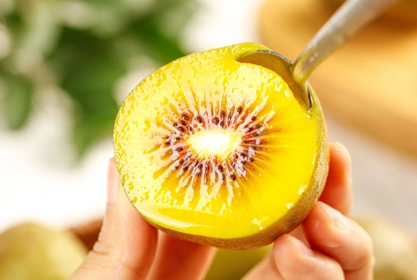 黃金奇異果食用禁忌