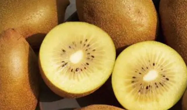 奇異果營養價值