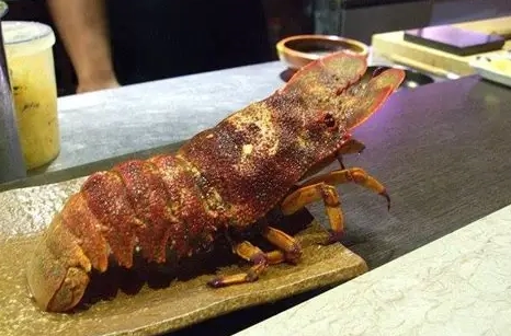 海戰車科學分類