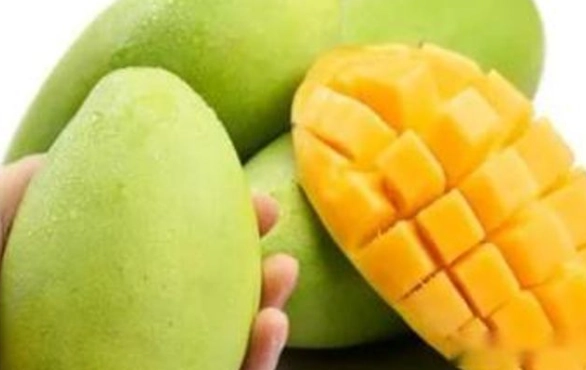 青芒果功效與禁忌
