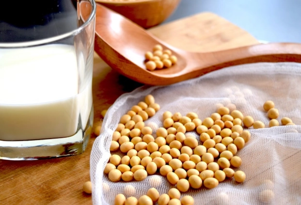 豆漿禁忌 豆漿禁忌