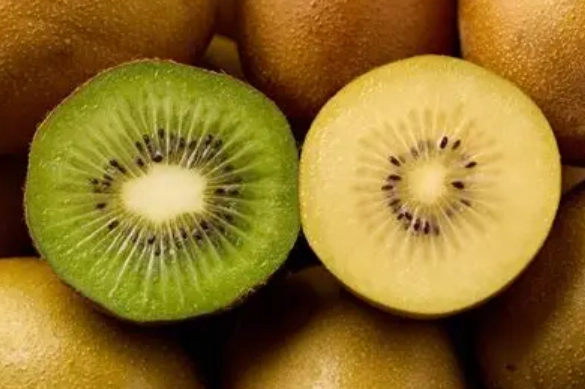 奇異果vs金奇異果