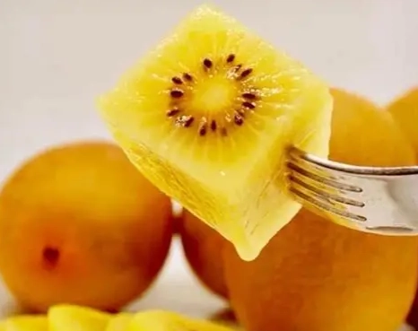 黃金奇異果熱量一顆