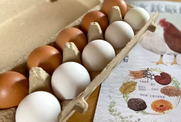 老年人雞蛋攝取量