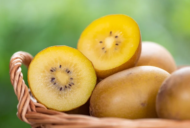 金奇異果食用禁忌