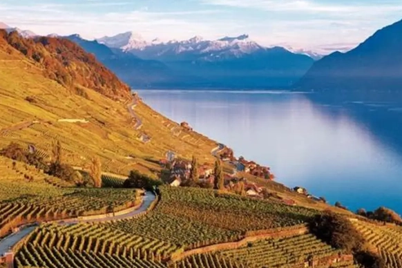 瑞士秋季月份 瑞士秋季月份