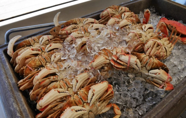 舊金山海鮮餐廳 舊金山海鮮餐廳