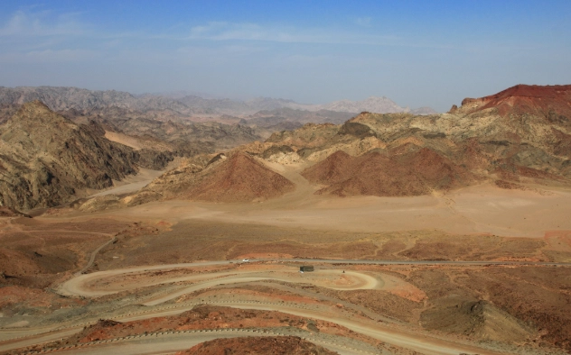 阿拉善駱駝種類